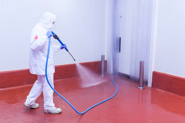 Best House Exterior Washing  in Horicon, WI